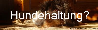 Hundehaltung erlaubt